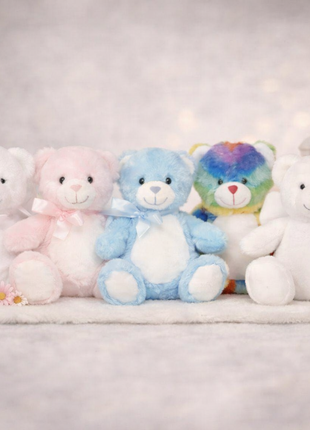 Personalised Cuddly Teddy