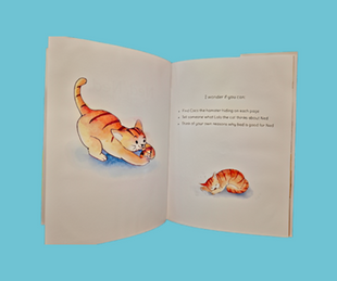 Bedtime Story Book - Ned, Ned, Bed, Bed, Bed!