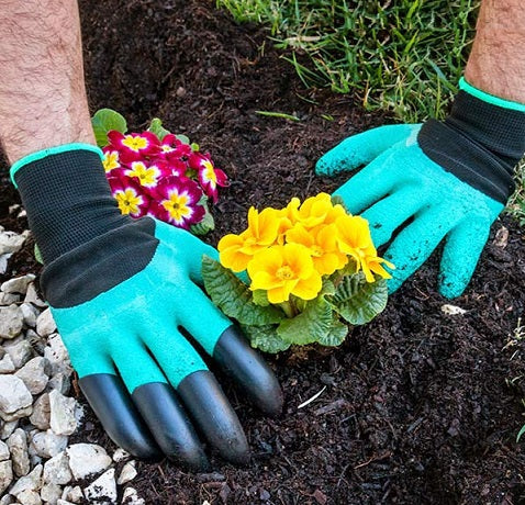 gloves with claws for gardening Gardening Gloves with Claws – Seals on a Surfboard