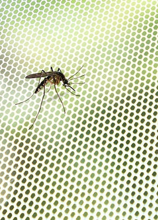 Anti Mosquito Screen Anti Mosquito/Fly Screen - siopashop.ie