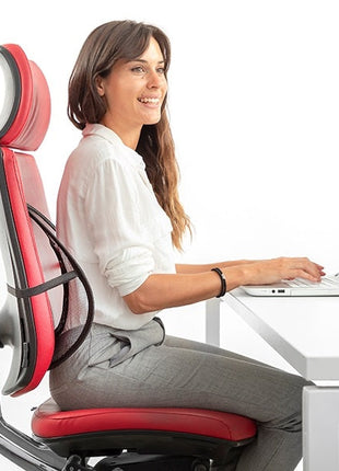 Lumbar Support Lumbar Support for Home, Office or Car - siopashop.ie